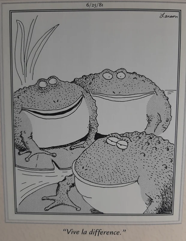 the far side comics 19