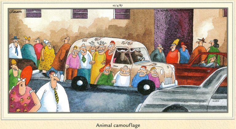 the far side comics 2