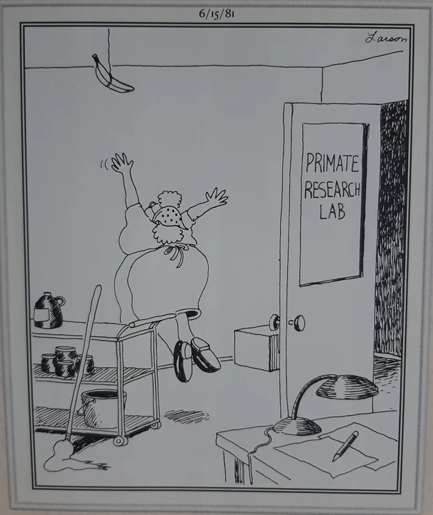 the far side comics 21
