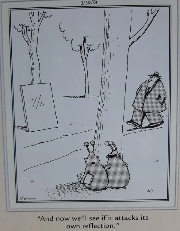 the far side comics 23