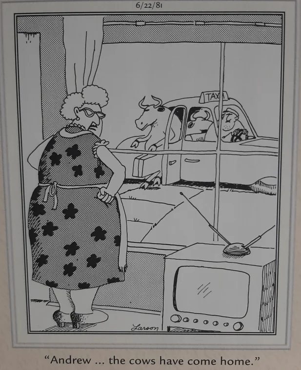 the far side comics 27