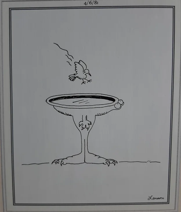 the far side comics 35