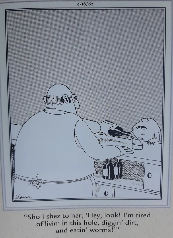 the far side comics 38