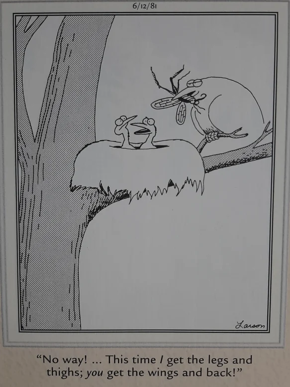 the far side comics 39