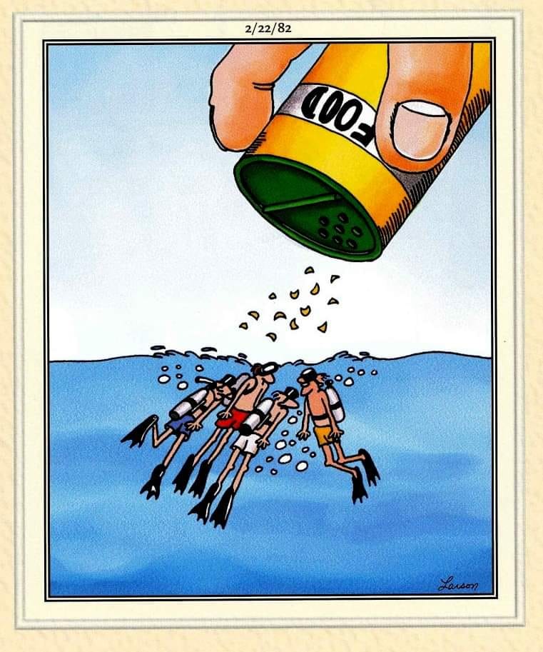 the far side comics 4