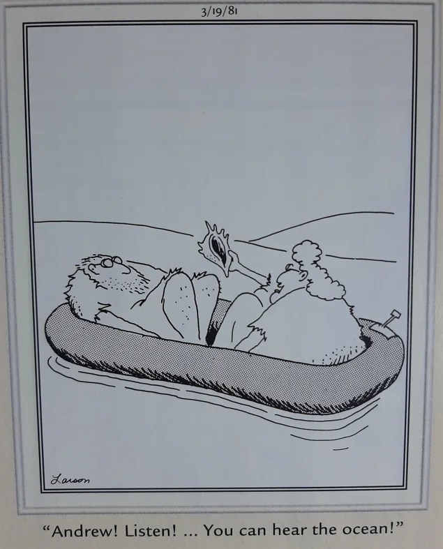 the far side comics 43