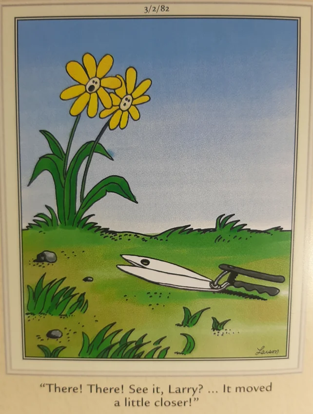 the far side comics Comics You Won't Forget