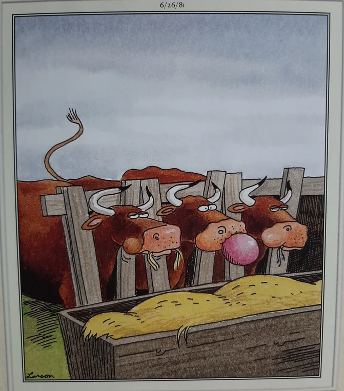 the far side comics 46