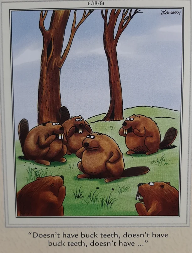 the far side comics 47