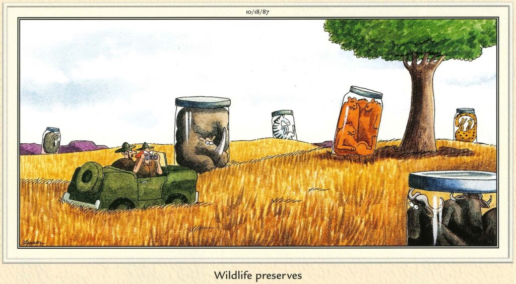 the far side comics 5