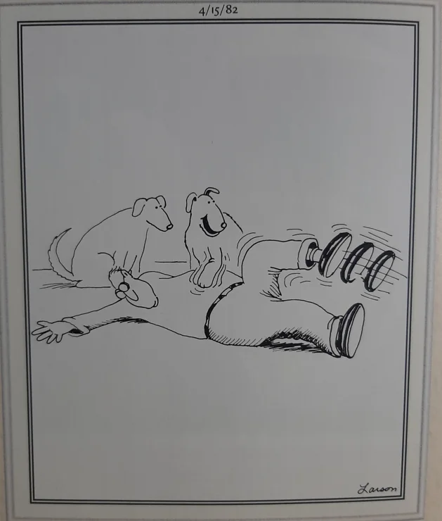 the far side comics 5