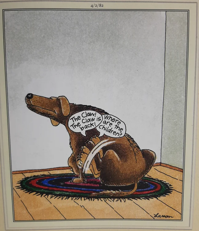 the far side comics 50