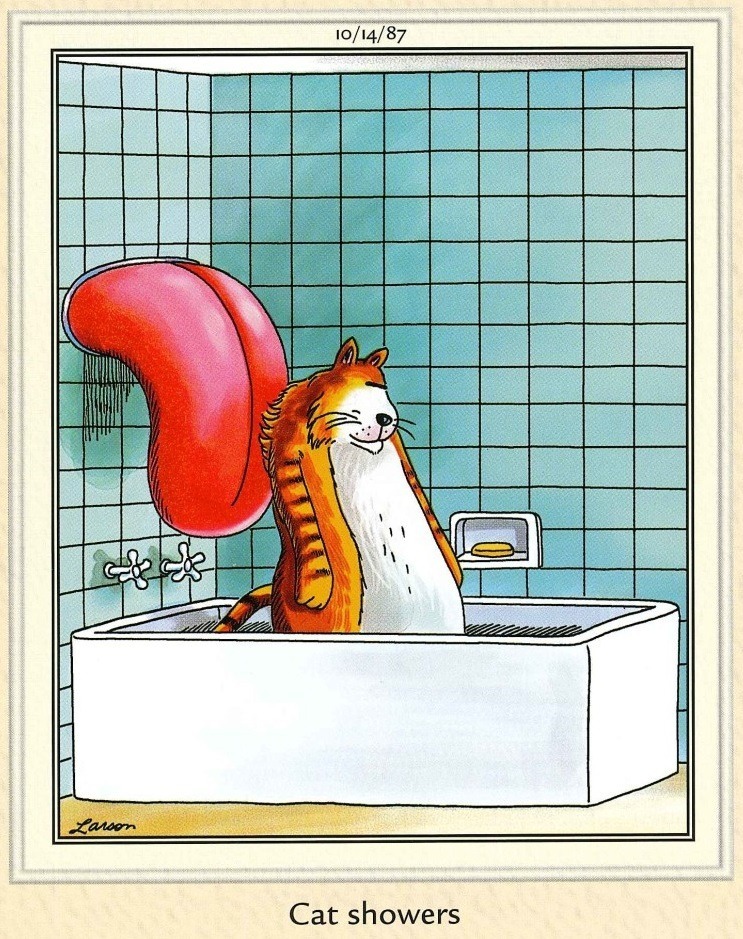 the far side comics
