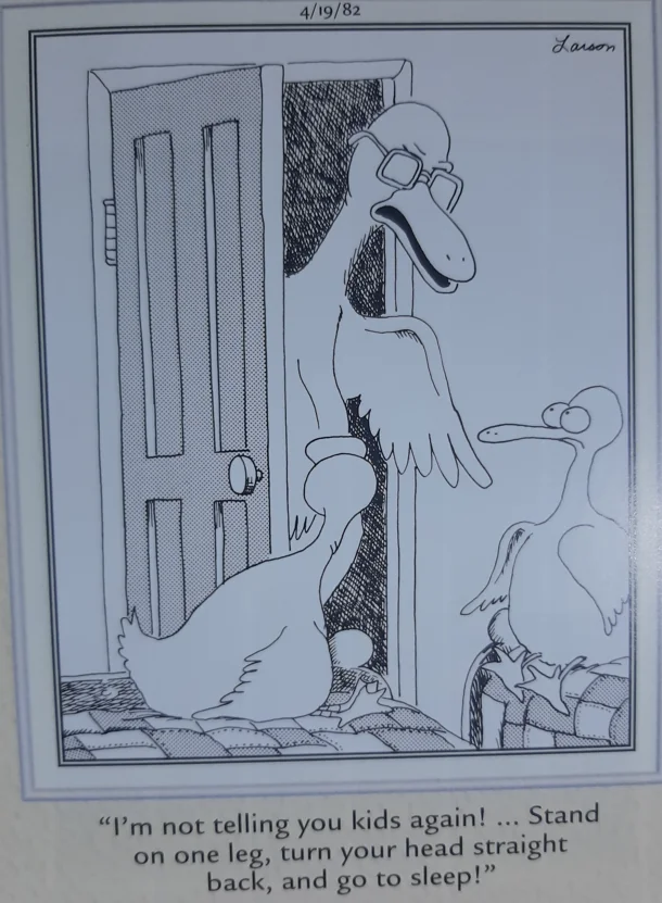 the far side comics 6