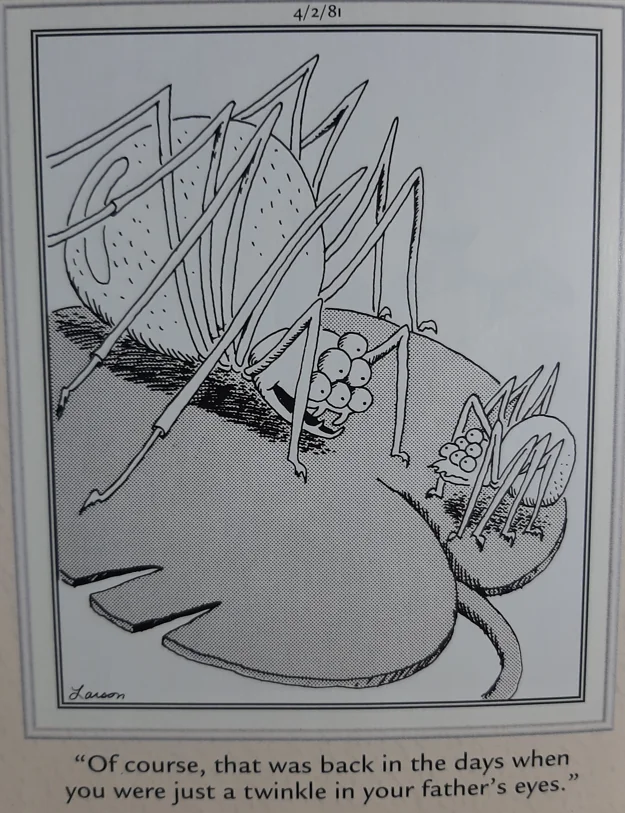 the far side comics 7
