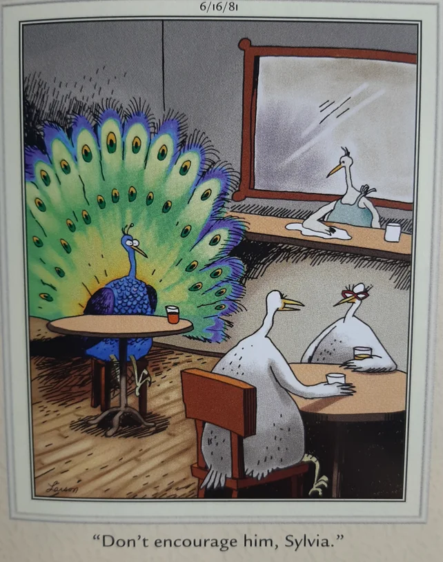the far side comics 9