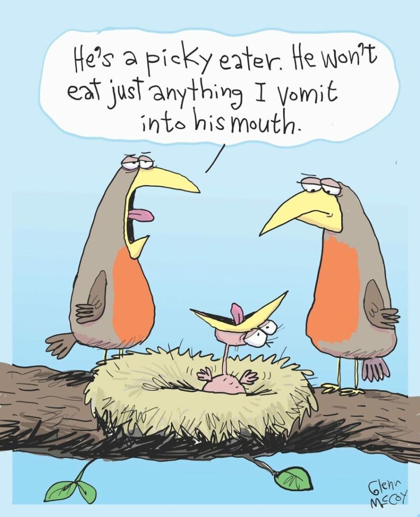 humor comics 14