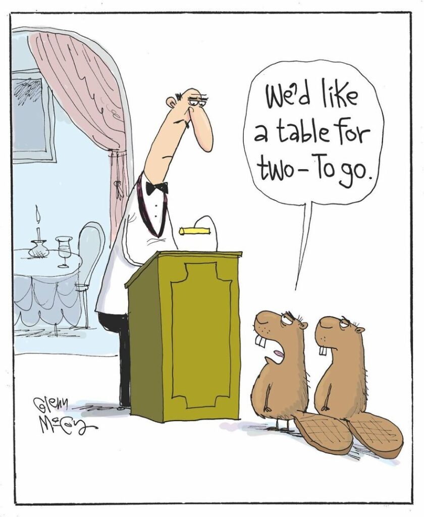 humor comics 47