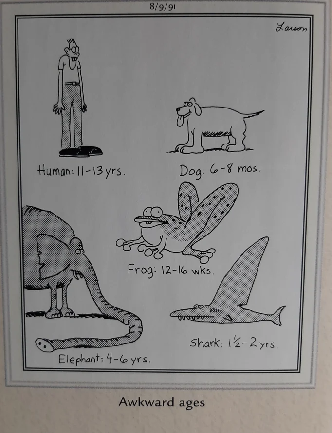 the far side comics by gary laron 517