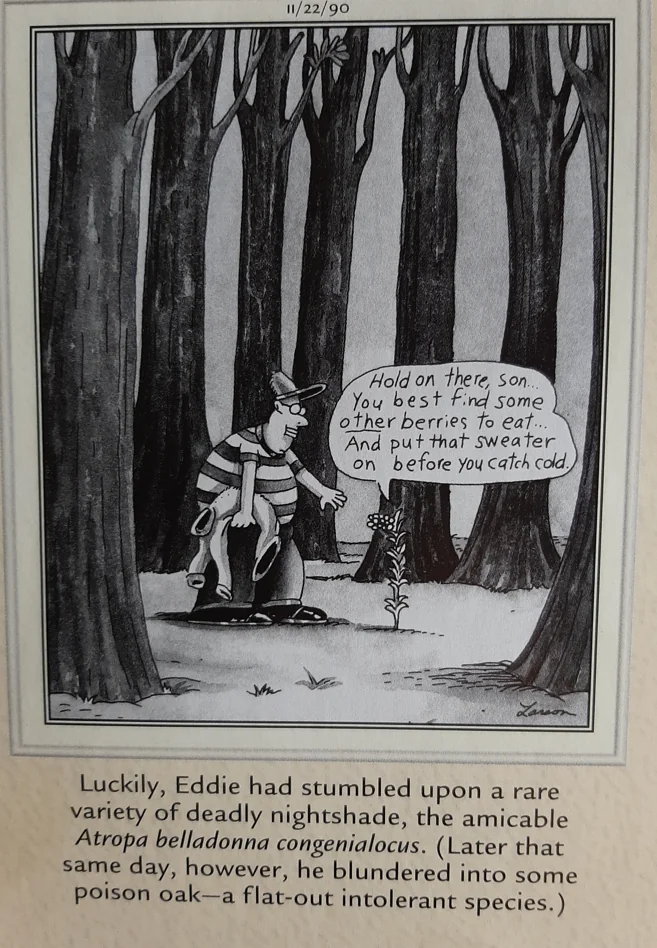 the far side comics by gary laron 528