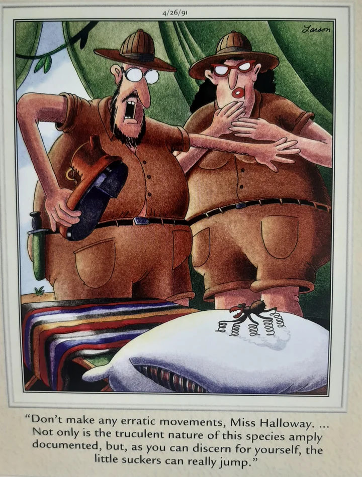 the far side comics by gary laron 548