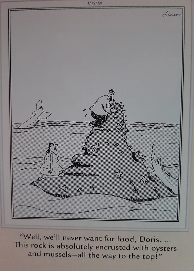 the far side comics by gary laron 603