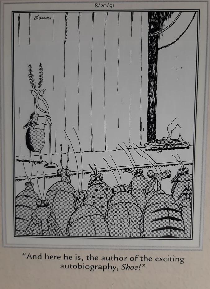 the far side comics by gary laron 612
