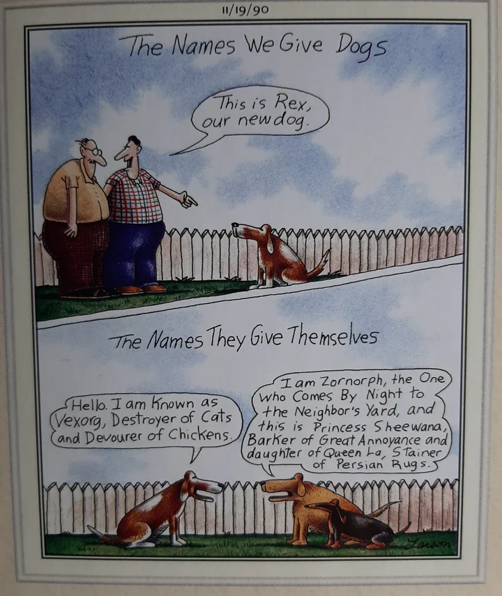 the far side comics by gary laron 687
