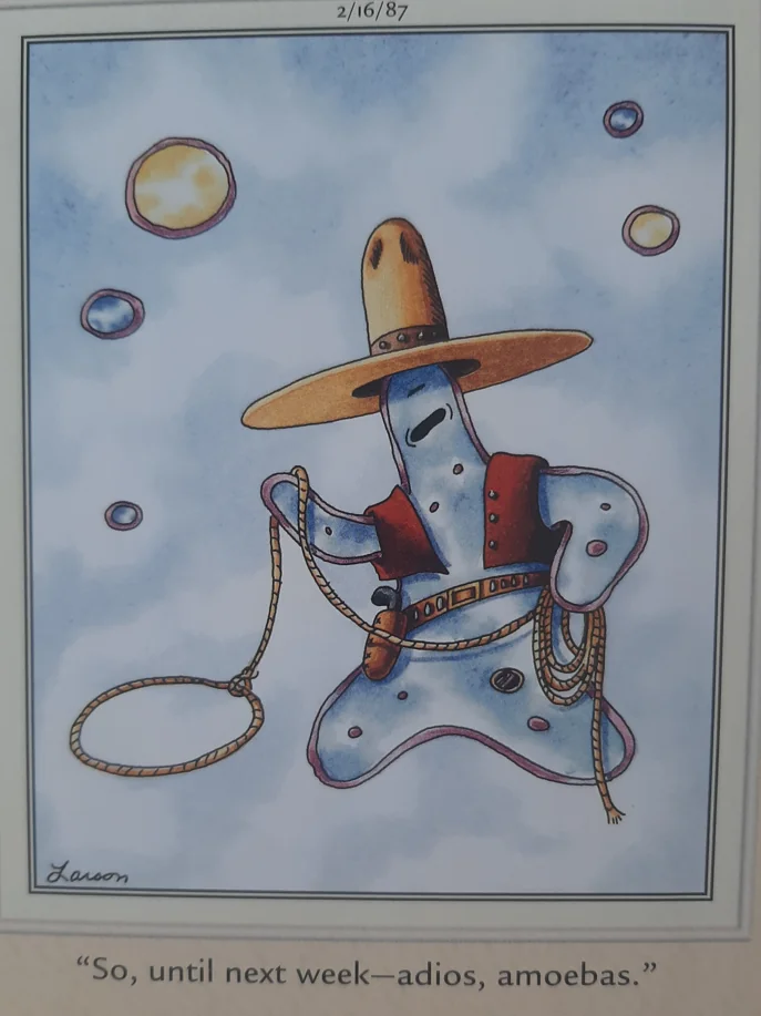 far side comics
