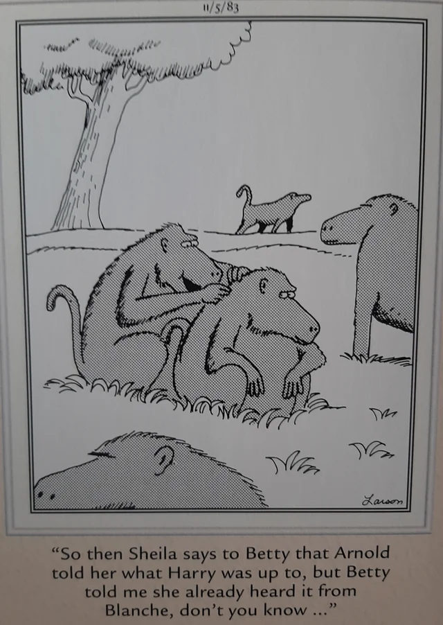 the far side comics by gary laron 735