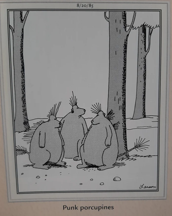 the far side comics by gary laron 751