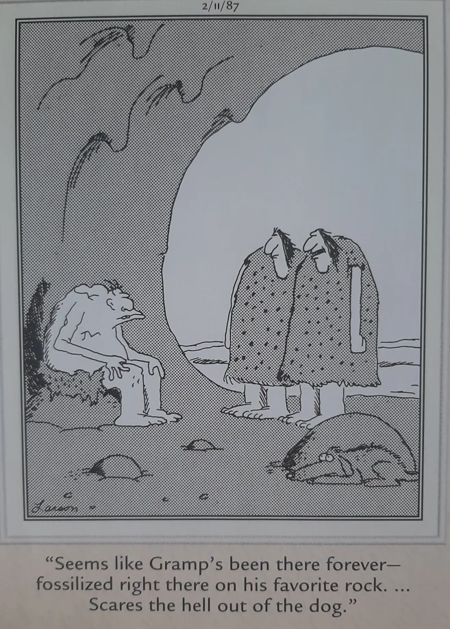 the far side comics by gary laron 838