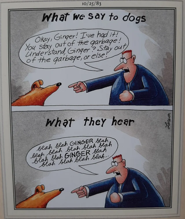 the far side comics by gary laron 884