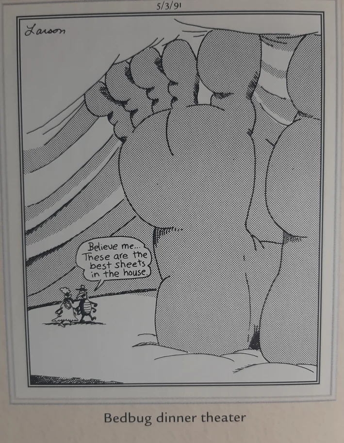 the far side comics by gary laron 907