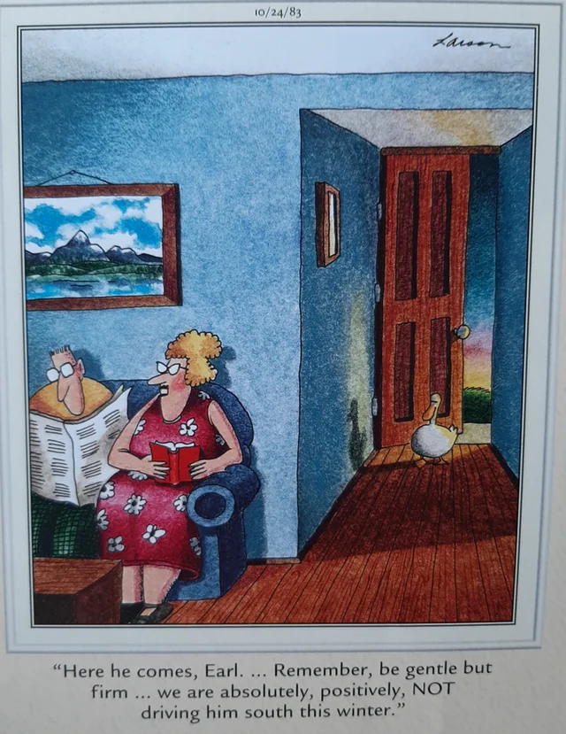 the far side comics by gary laron 911
