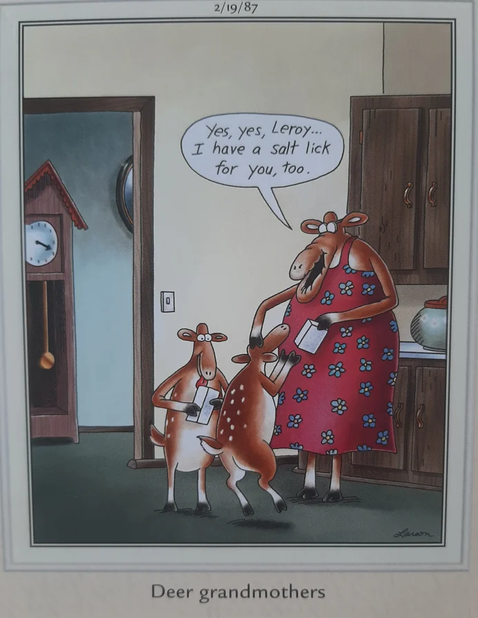 the far side comics by gary laron 923