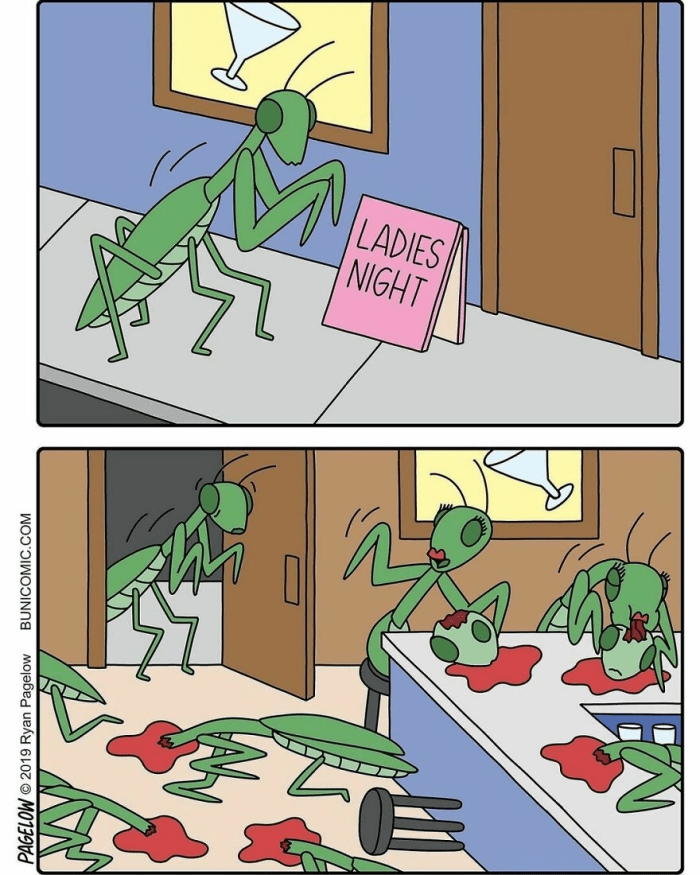 20 Best Buni Comics To Make Everyone laugh 12 image 34